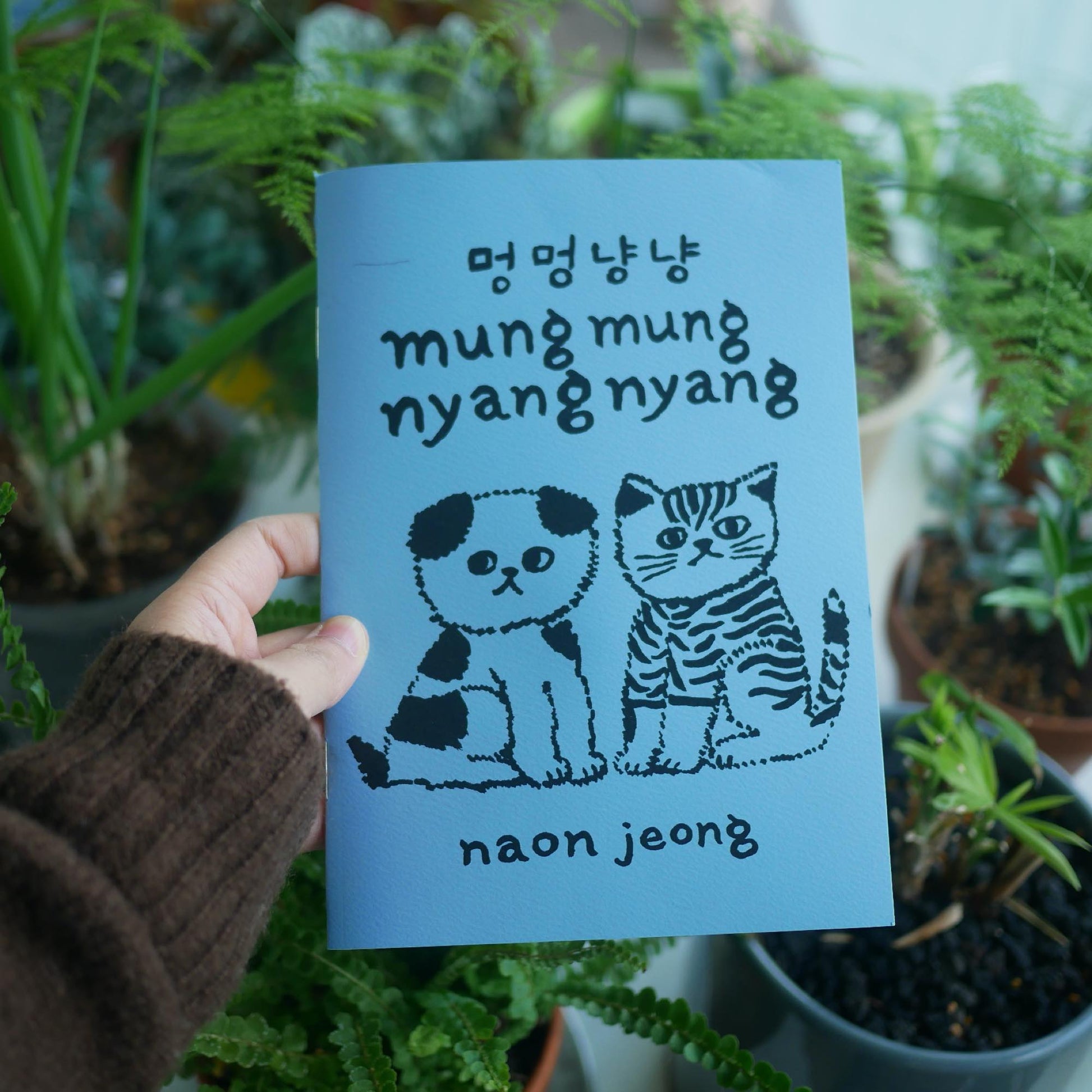 Mung mung nyang nyang