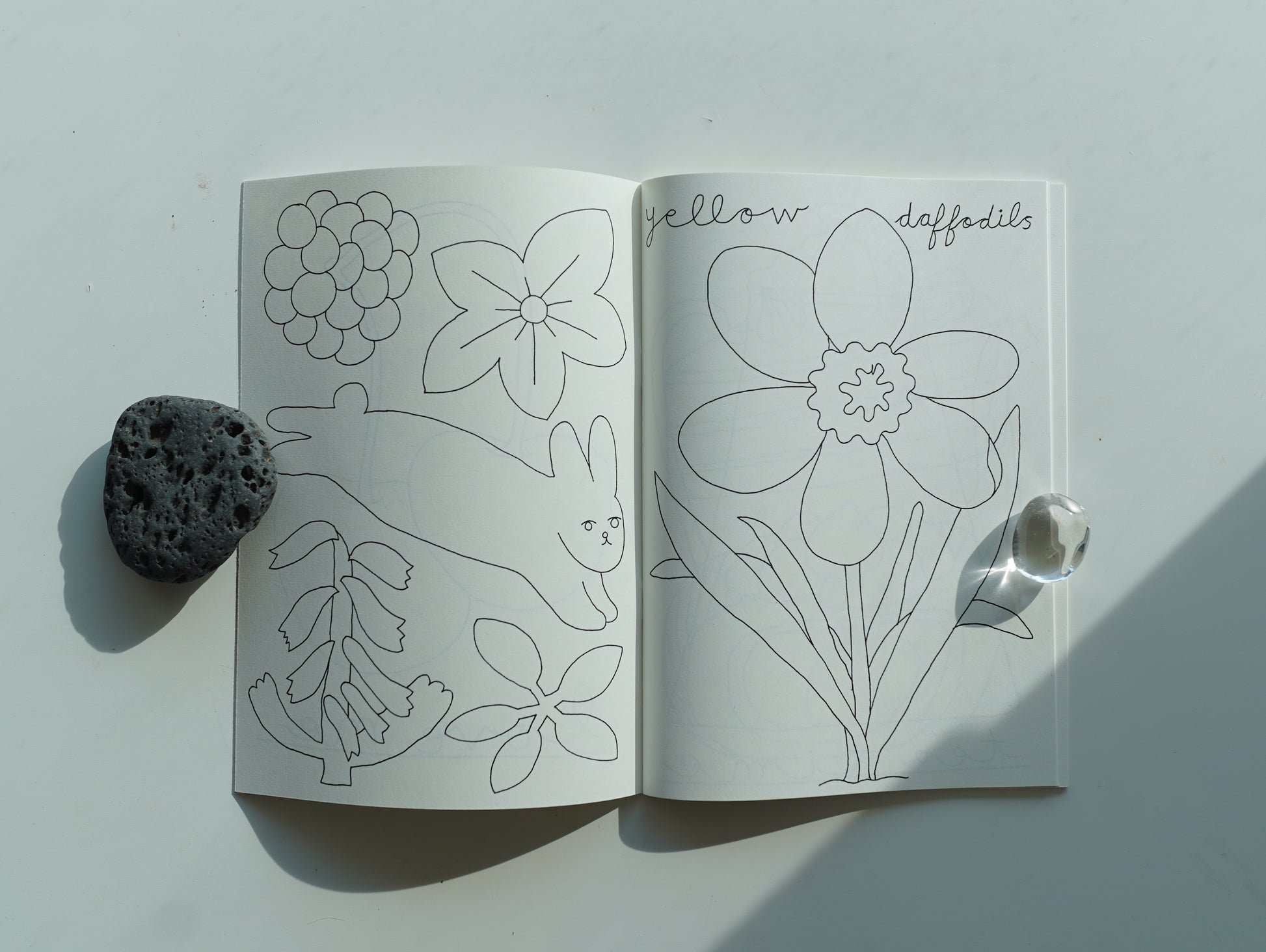 Coloring Book