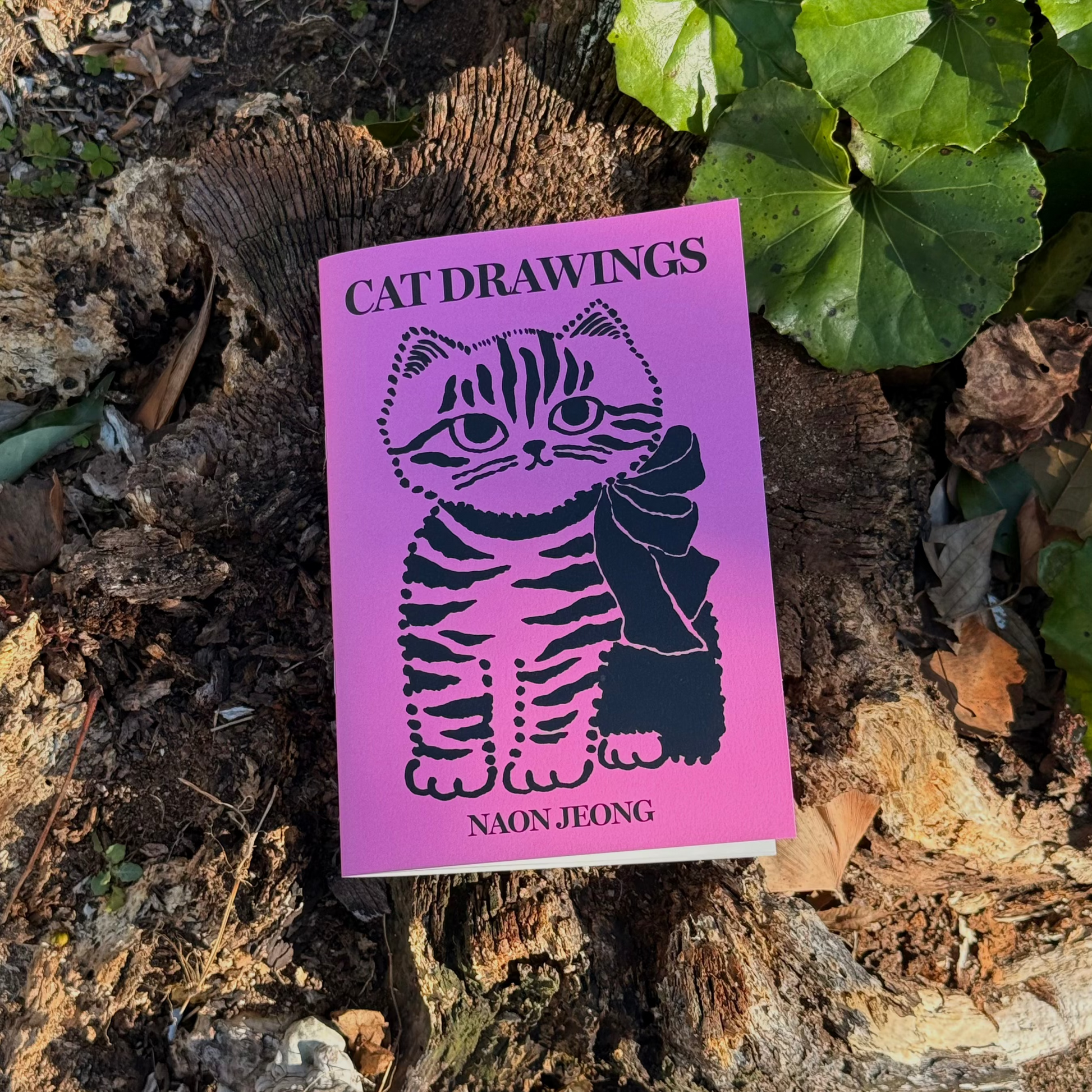 Cat Drawings