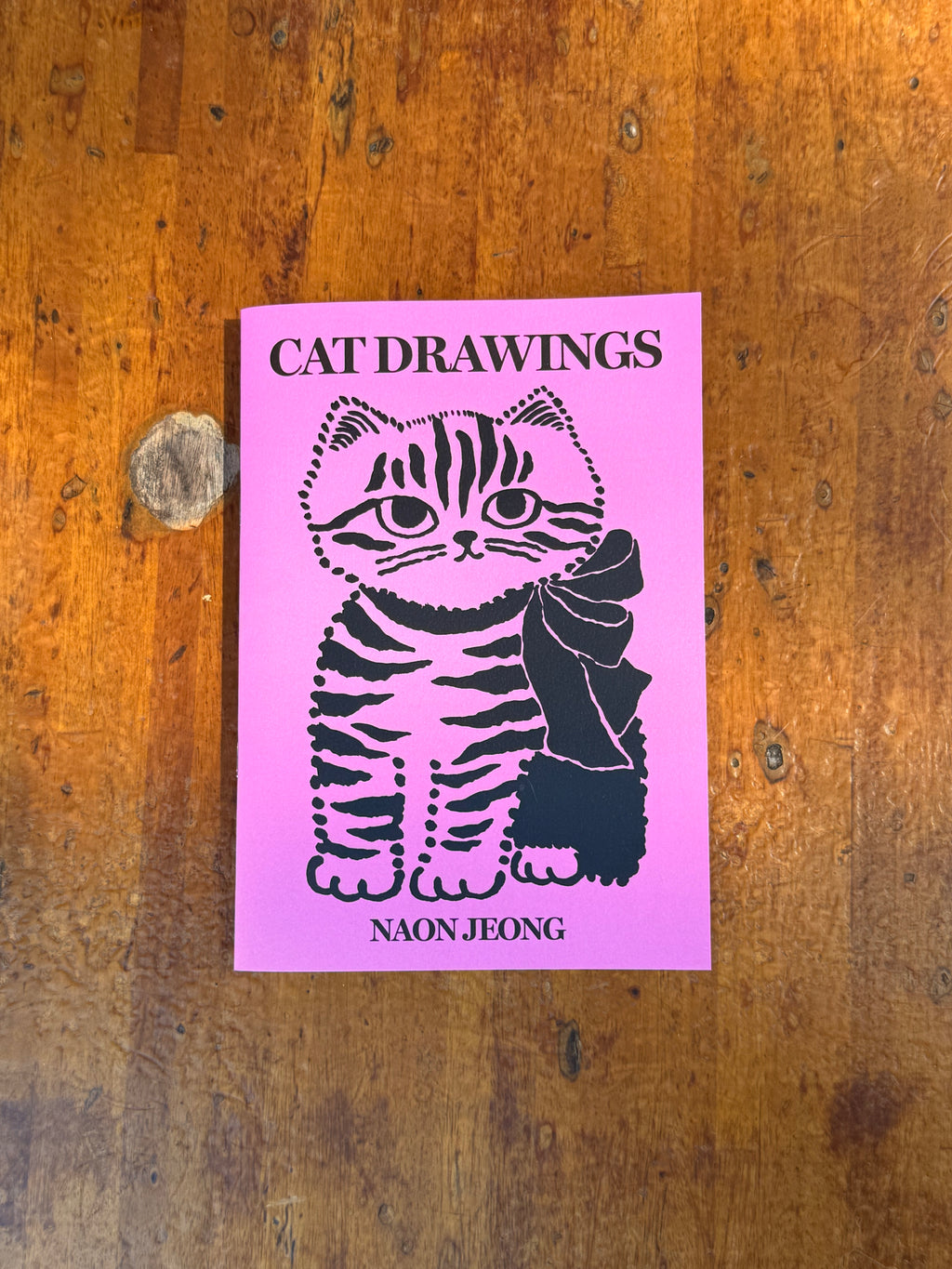 Cat Drawings