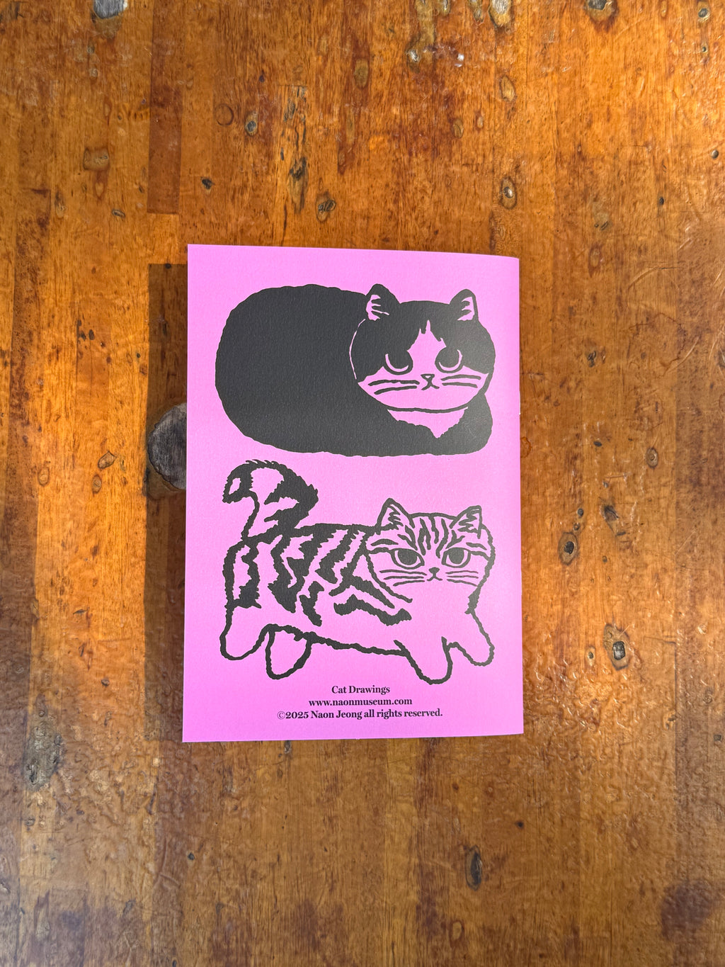 Cat Drawings