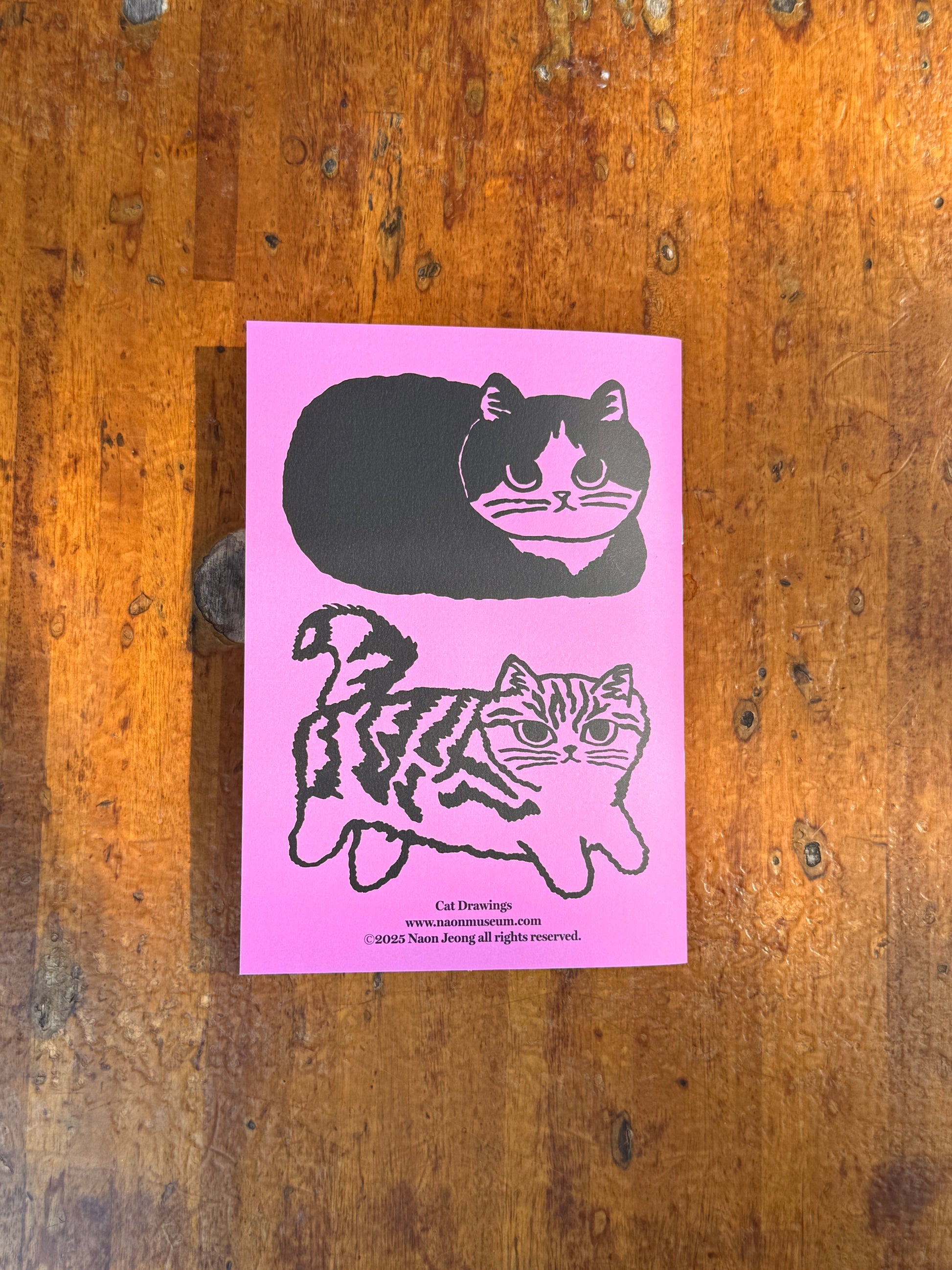 Cat Drawings