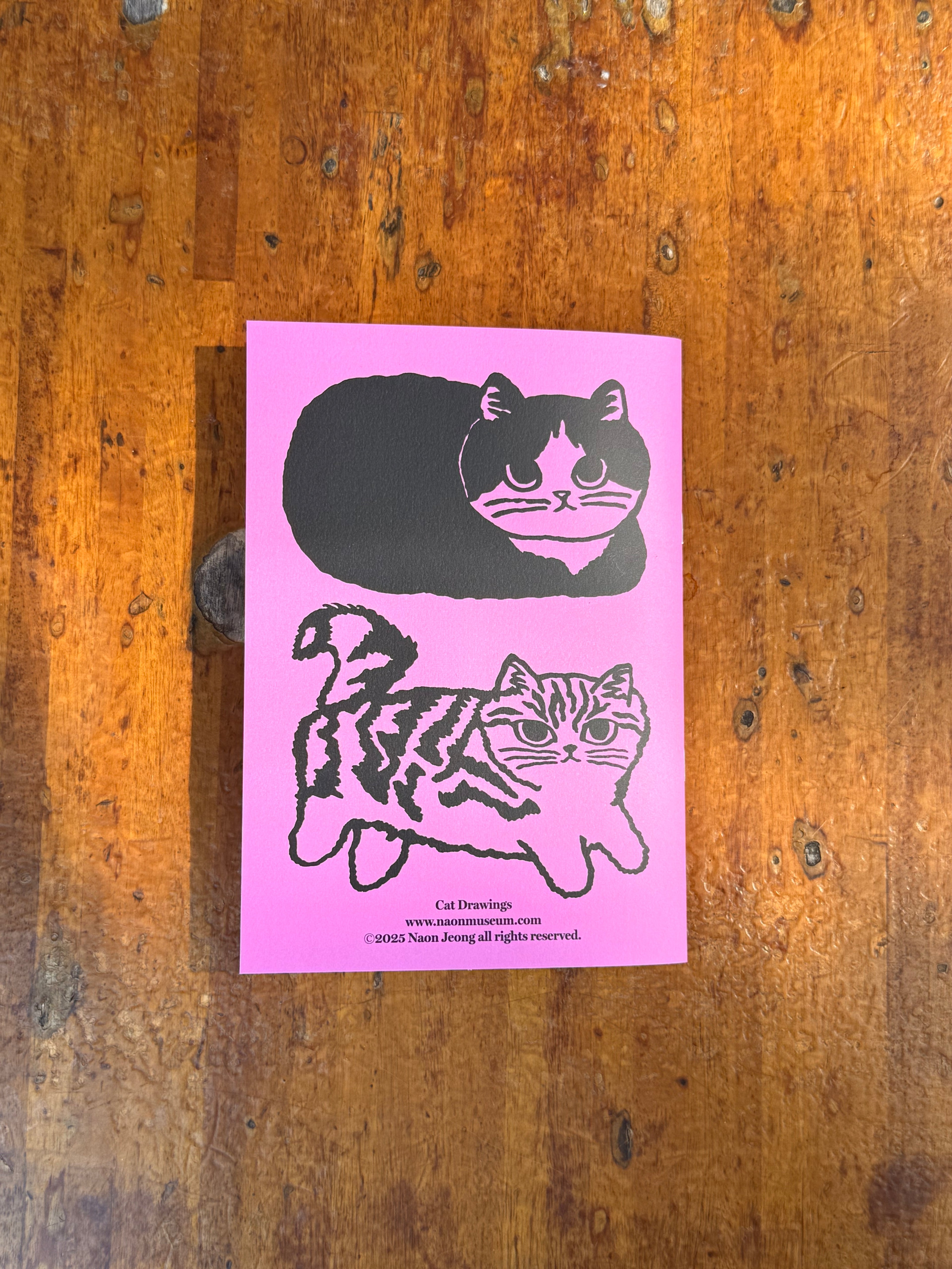 Cat Drawings