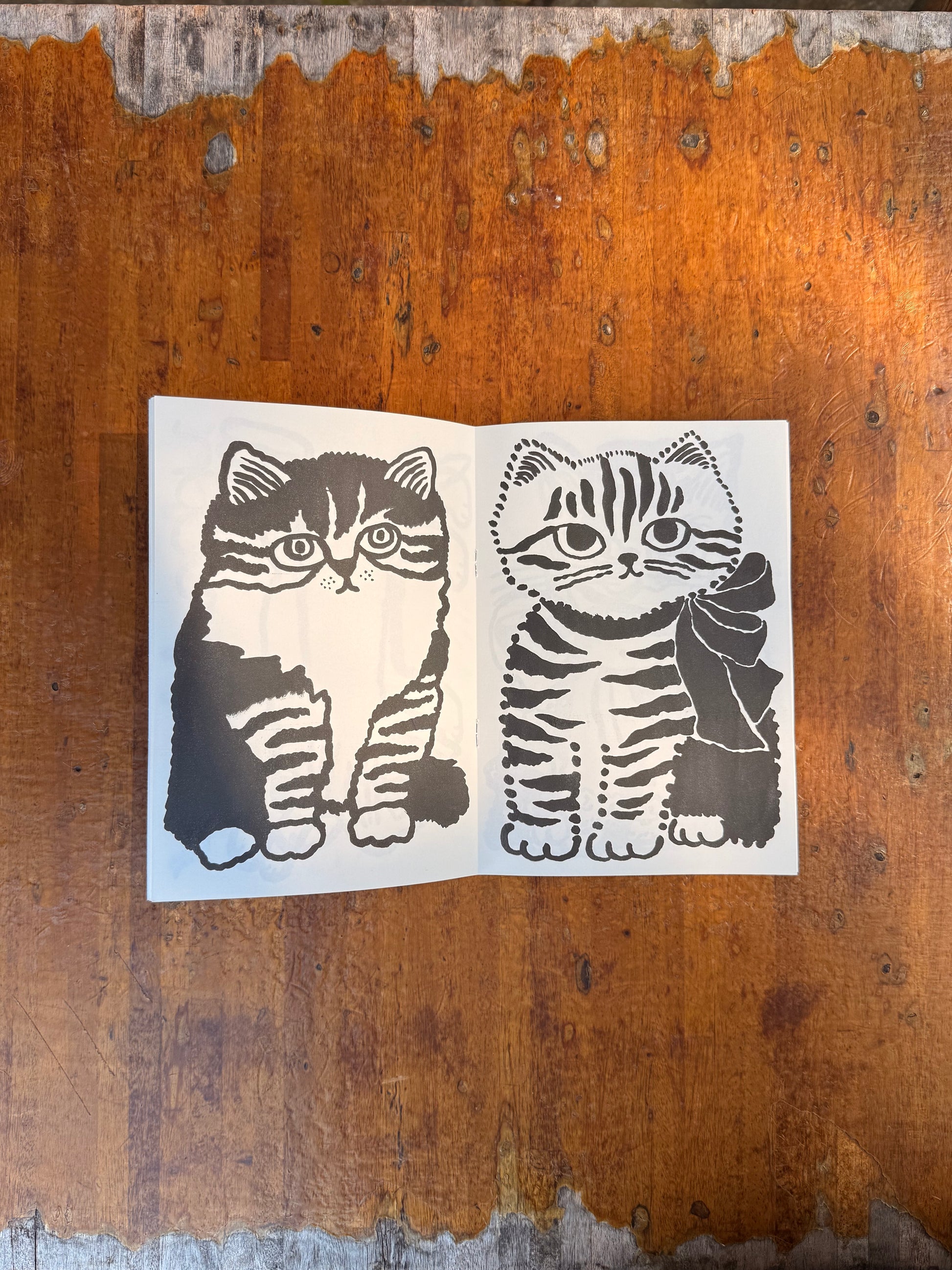 Cat Drawings