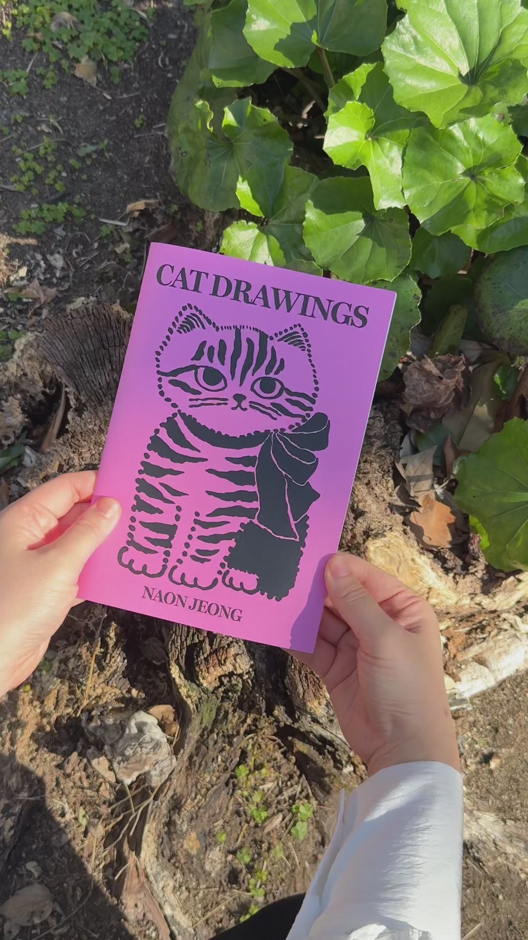 Cat Drawings
